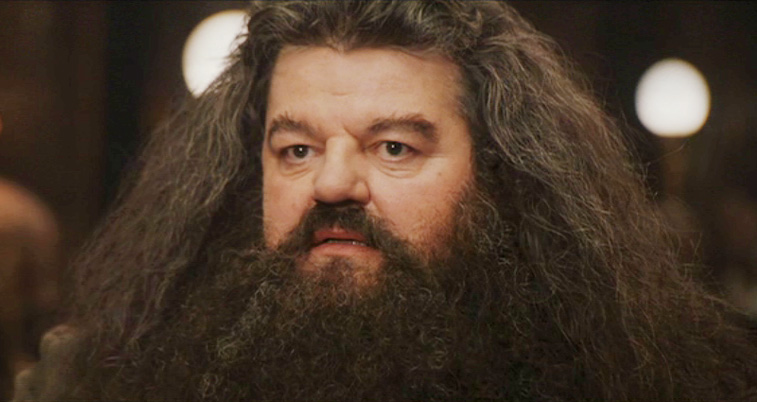 Morto Hagrid