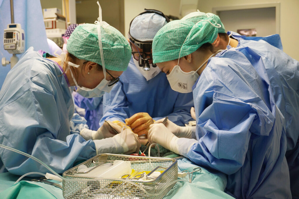 bergamo-dimesso-bambino-trapianto-polmone-padre