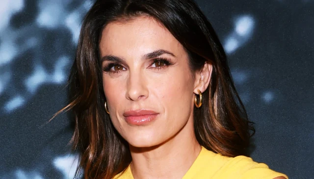 Elisabetta Canalis divorzia da Brian Perri: è ufficiale! La prova del sito americano