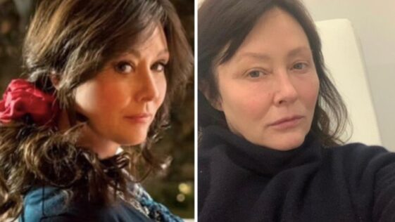 Avere il cancro è così, ha detto Shannen Doherty.