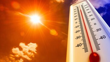 Oltre 60 gradi Celsius di caldo torrido in Spagna; previsione di quasi 50 gradi Celsius per l'Italia questo fine settimana.