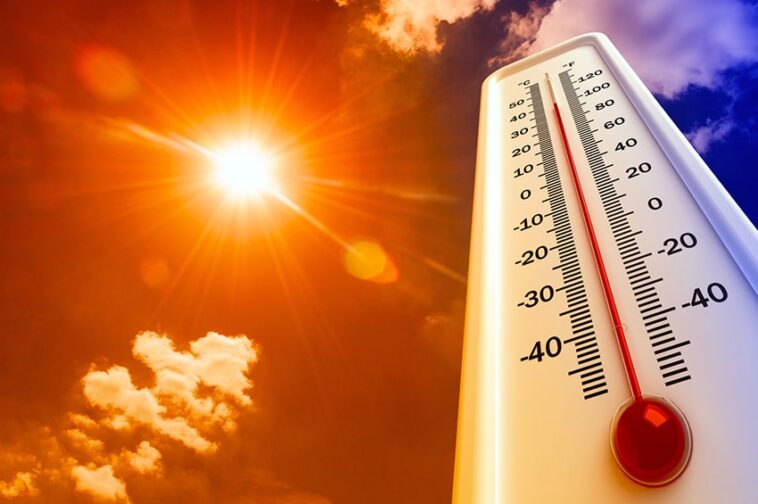 Oltre 60 gradi Celsius di caldo torrido in Spagna; previsione di quasi 50 gradi Celsius per l'Italia questo fine settimana.